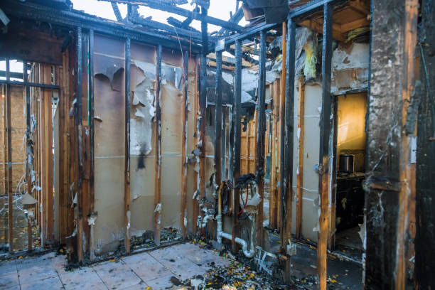 Professional Structural Rebuild technician working in Belle Plaine, KS